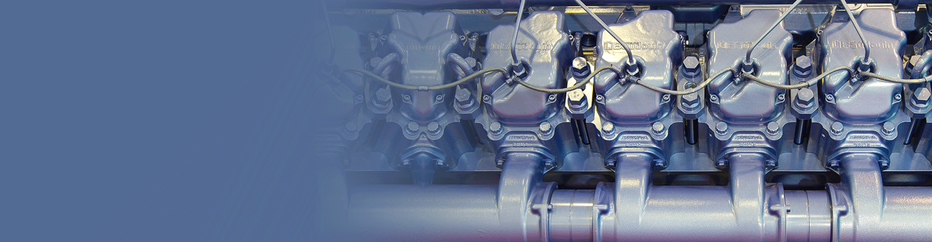 Trunk Piston Engine Oil